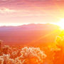 File Photo of Sunrise at Joshua Tree National Park