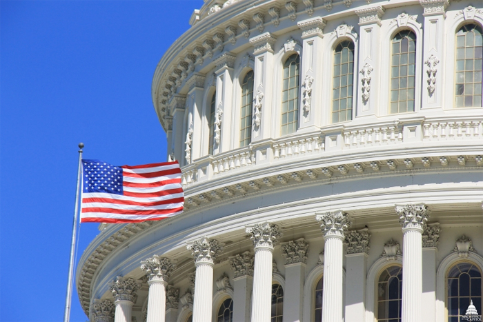 File Photo of Portion of U.S. Capitol Dome and U.S. Flag, adopted from .gov image by Steven C. Welsh