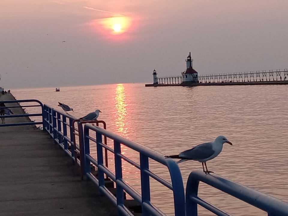 Seagulls on Rail, Water, Lighthouses, Colorful Sun Falling Lower to Horizon with Light Across Water