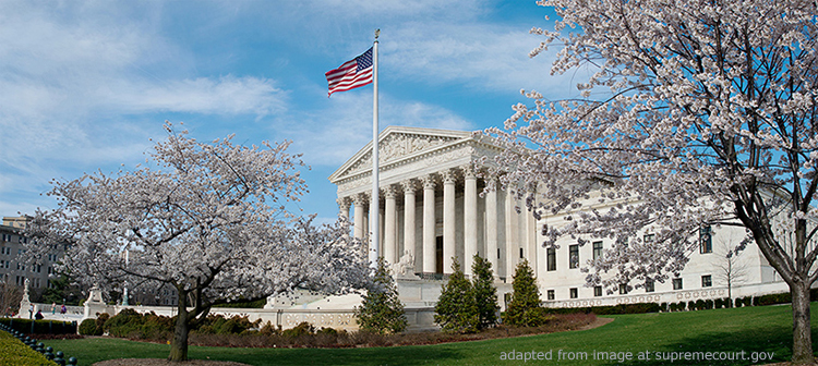 U.S. Supreme Court Building file photo, with Blossoming Trees Among Surroundings