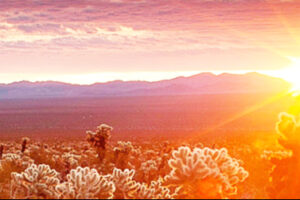 Sunrise Over Desert and Mountain Ridge adapted from image at nps.gov