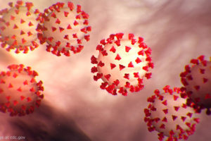 Coroanvirus file image, adapted from .gov image